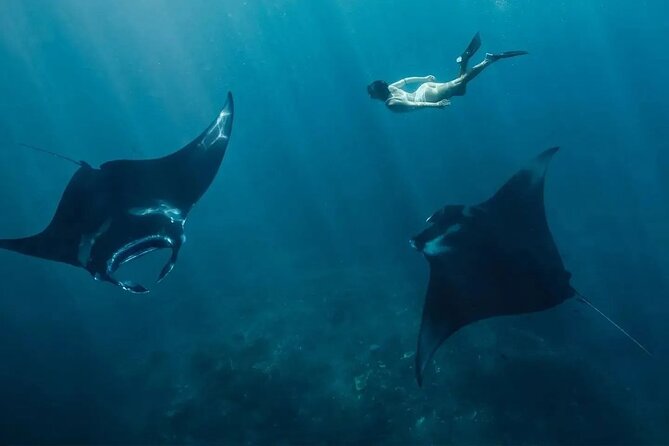 Snorkeling 4 Spots, Manta Rays, Tembeling Pool & Kelingking Beach - Fast 6am Departure: How the Bali-to-Nusa Penida Day Moves
