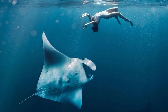 Snorkeling 4 Spots, Manta Rays, Tembeling Pool & Kelingking Beach - Snorkeling Timing: Why Your Time in the Water Can Change