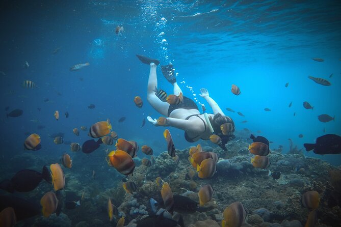 Snorkeling 4 Spots, Manta Rays, Tembeling Pool & Kelingking Beach - Kelingking Beach: Why This View Lives Up to the Hype