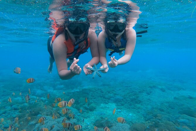 Snorkeling 4 Spots, Manta Rays, Tembeling Pool & Kelingking Beach - Lunch at El Moon Penida: A Real Break in the Middle