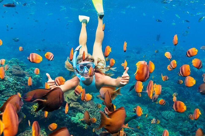 Snorkeling adventure to the manta ray habitat in Nusa Penida - Price and value: what you’re really paying for at $28.45