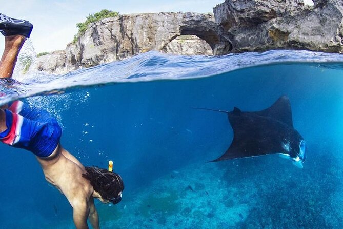 Snorkeling adventure to the manta ray habitat in Nusa Penida - Stop 1 at Manta Point: the 99% manta-ray promise, minus the fantasy