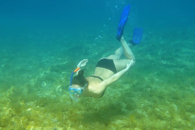 Snorkeling Adventure with East Nusa Penida Tour All Inclusive - Diamond Beach: The White-Sand Photo Stop at Pantai Diamond