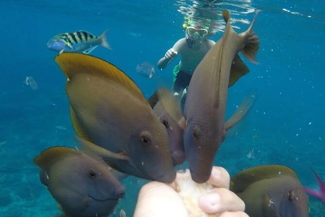 Snorkeling Adventure with East Nusa Penida Tour All Inclusive - Price and What You Get for $115 All-Inclusive