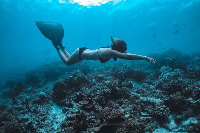 Snorkeling and Freediving Trip around Nusa Penida - The Big Picture: What This Trip Actually Gives You