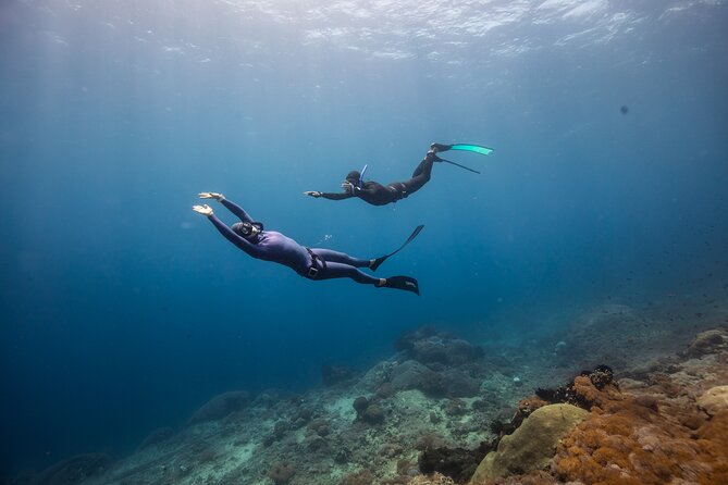 Snorkeling and Freediving Trip around Nusa Penida - Spot #3: SD Point Drift for Turtles and a Calmer Finish