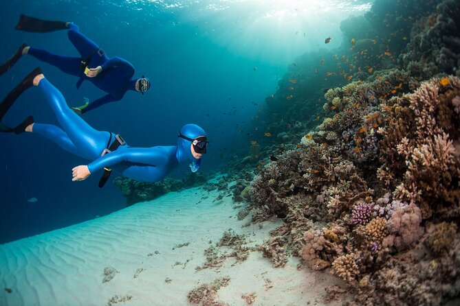 Snorkeling and Freediving Trip around Nusa Penida - Spot #1: Manta Point and the Early-Arrival Advantage