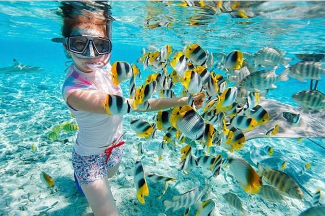 Snorkeling At Blue lagoon And Hidden waterfall - Key highlights from this Blue Lagoon + waterfall day