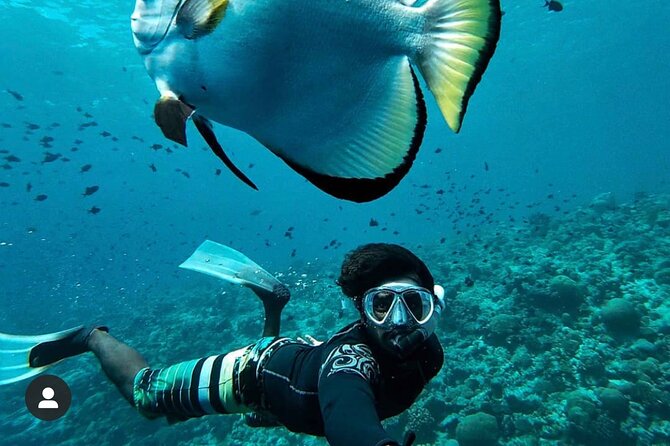 Snorkeling At Blue lagoon And Hidden waterfall - Price and logistics: what your $54 actually covers