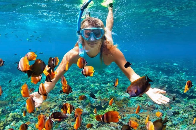 Snorkeling At Blue lagoon And Hidden waterfall - Stop 1: Blue Lagoon Beach and the Tanjung Jepun swim for fish, coral, and turtles