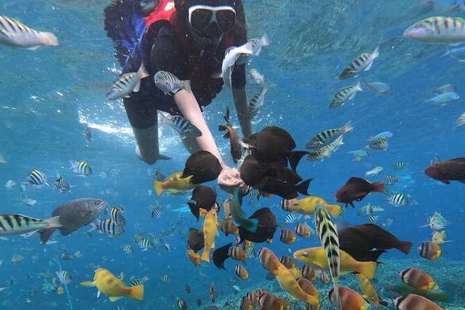 Snorkeling At Blue lagoon And Hidden waterfall - Getting from Seminyak to the snorkeling coast without wasting your morning