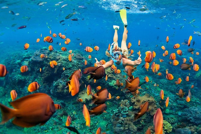 Snorkeling at Blue Lagoon Bali with Lunch and Transport - Blue Lagoon near Padangbai: why this east-coast stop works