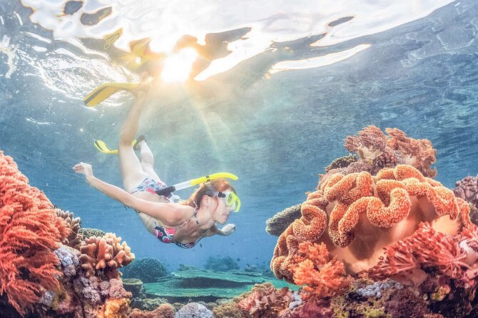 Snorkeling at Blue Lagoon Bali with Lunch and Transport - Snorkeling setup: equipment, life jacket, and the instructor factor