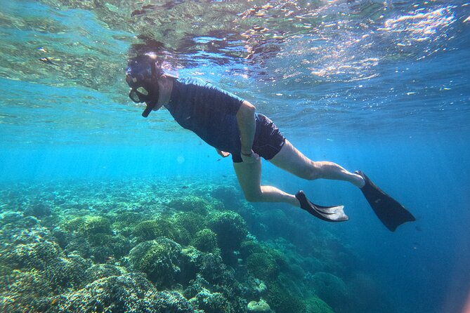 Snorkeling at Menjangan Island Bali Hidden Underwater Gem - Entering West Bali’s calmer side at Menjangan Island