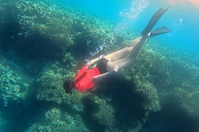 Snorkeling at Menjangan Island Bali Hidden Underwater Gem - The morning plan: pickup and getting to the water without stress