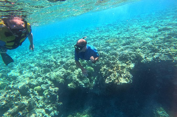Snorkeling at Menjangan Island Bali Hidden Underwater Gem - Two water spots are part of the rhythm