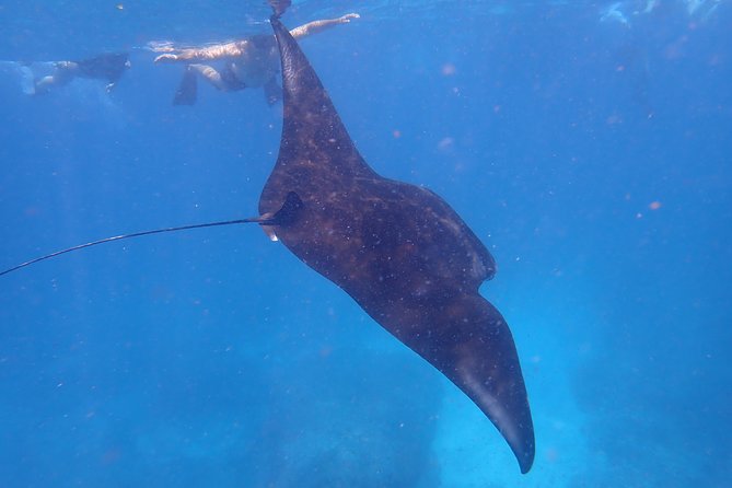 Snorkeling Day Trip To Lembongan and Penida - Price and what’s included (and what can add up)