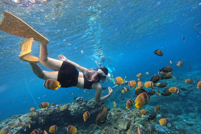 Snorkeling Day Trip To Lembongan and Penida - Pickup, meeting points, and how the ferry part works