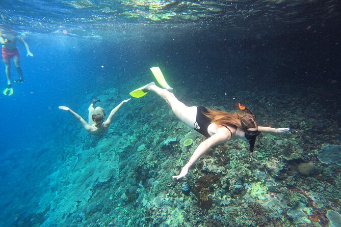 Snorkeling Day Trip to Nusa Lembongan and Nusa Penida - Key Highlights You’ll Actually Care About