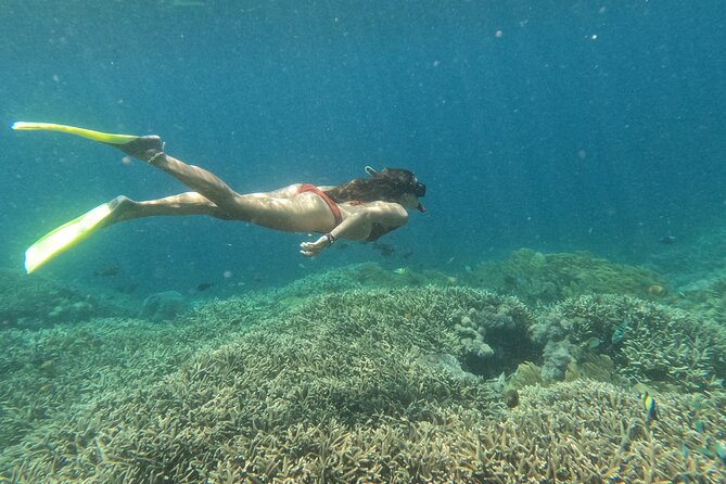 Snorkeling Day Trip to Nusa Lembongan and Nusa Penida - Getting There From Seminyak and What the Morning Feels Like