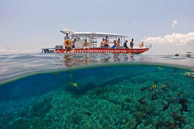 Snorkeling Day Trip to Nusa Lembongan and Nusa Penida - Stop 1: Nusa Lembongan Snorkeling Time