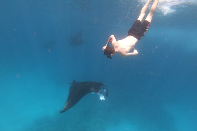 Snorkeling Day Trip to Nusa Lembongan and Nusa Penida - Stop 3: Mangrove Point on Nusa Lembongan