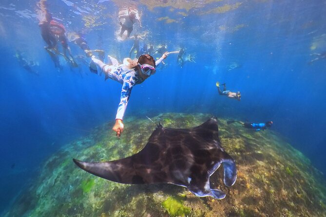 Snorkeling Day Trip to Nusa Lembongan and Nusa Penida - After Snorkeling: Lunch Buffet, Fruit, and Photo/Video Review