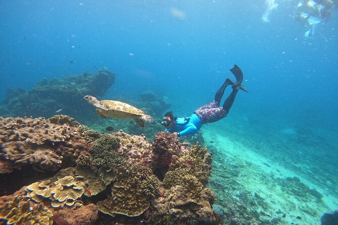 Snorkeling Day Trip to Nusa Lembongan and Nusa Penida - Kayaking or a Lembongan Tour Before You Return