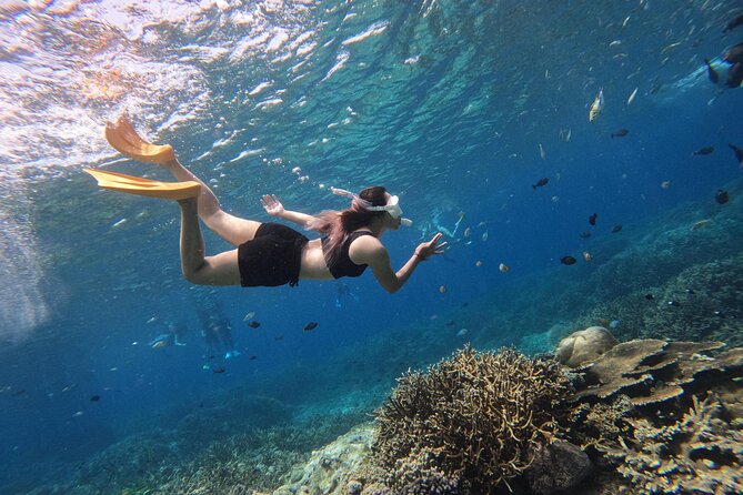 Snorkeling Day Trip to Nusa Lembongan and Nusa Penida - The Snorkeling Setup: Equipment, Guides, and Photo Video Results