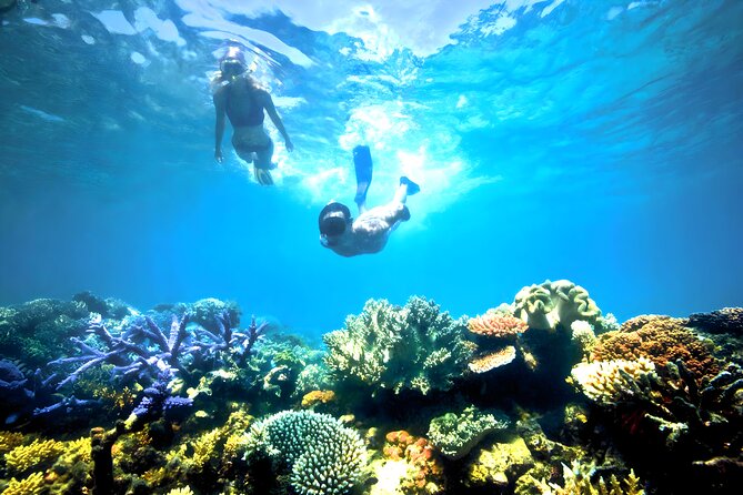 Snorkeling in Blue Lagoon Padang Bai Bali : Snorkel in the clear blue waters - Private transport from Seminyak: The real value of the setup