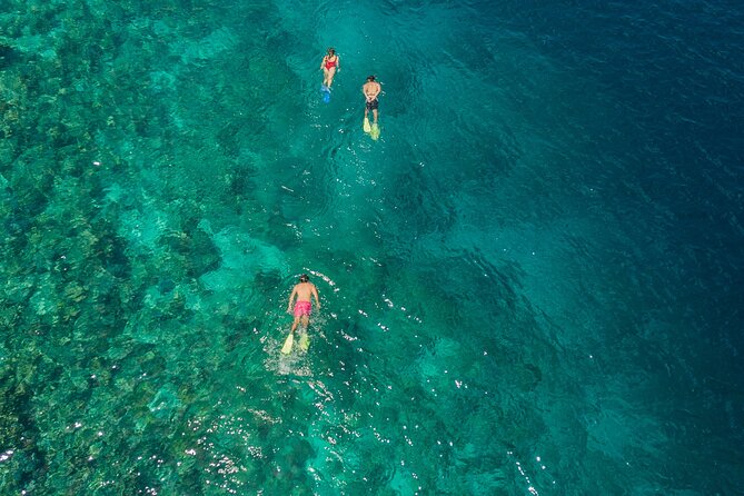 Snorkeling in Menjangan Island with Pickup and Lunch - Pickup, Small Group, and the Shared Boat Ride from Banyuwedang