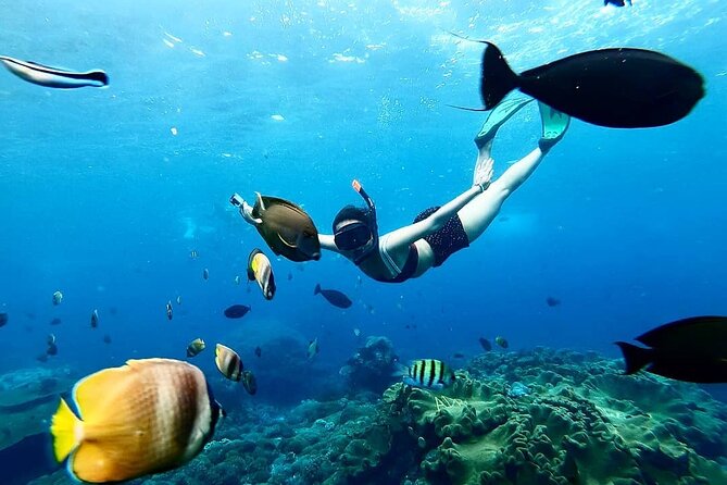 Snorkeling In Nusa Penida And Uluwatu Sunset Tours - A 6:00 am Start That Makes Sunset at Uluwatu Possible