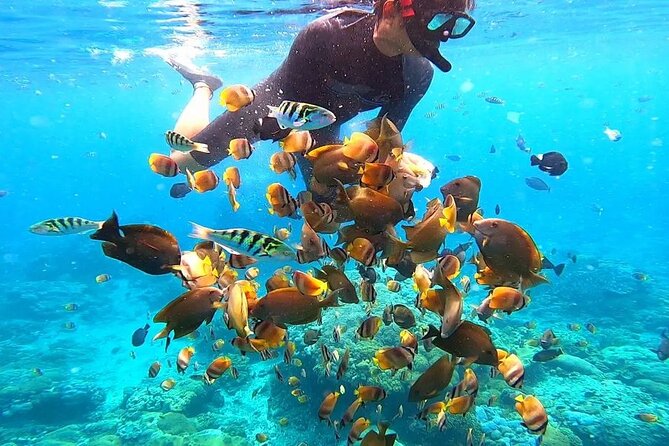 Snorkeling In Nusa Penida And Uluwatu Sunset Tours - Who This Tour Suits Best (And When to Skip It)