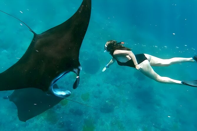 Snorkeling In Nusa Penida Departing From Bali Island - Key things I’d mark on your map