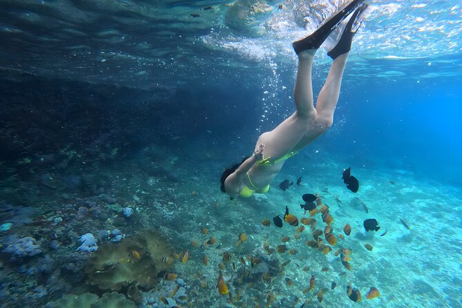 Snorkeling In Nusa Penida Departing From Bali Island - What the tour actually includes (and how it affects your packing)