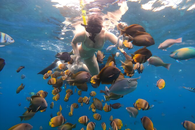 Snorkeling In Nusa Penida Departing From Bali Island - The early-morning strategy: visibility and fewer boats in your way