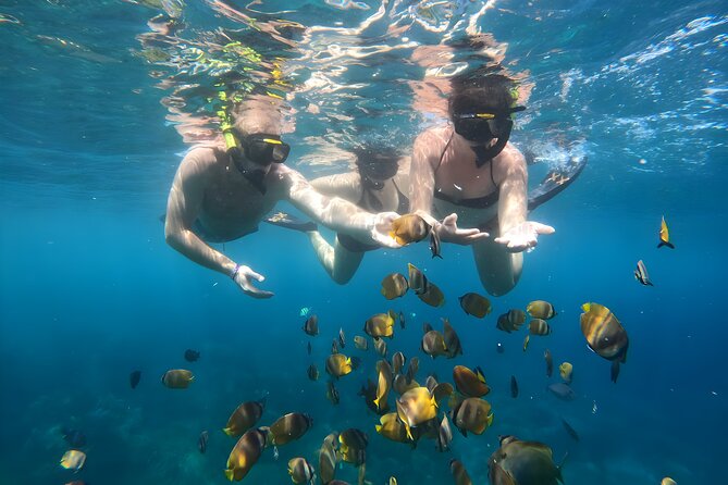 Snorkeling In Nusa Penida Departing From Bali Island - Group size reality: max 15 on paper, but the sea is still public