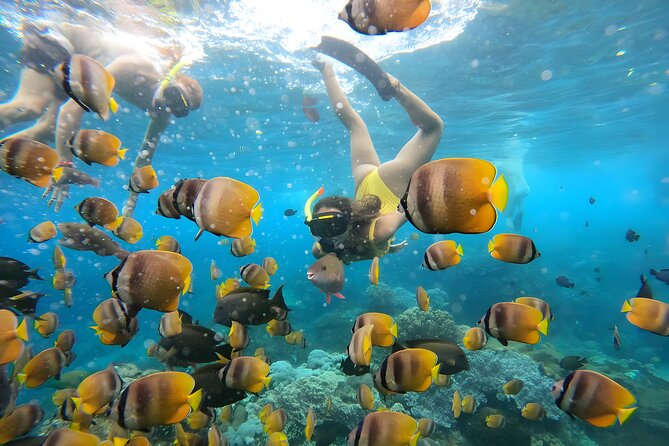 Snorkeling In Nusa Penida Departing From Bali Island - Getting the most from the bay stops: Crystal Bay, Wall Point, Gamat, and Manta Bay