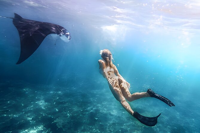 Snorkeling In Nusa Penida Island With Manta Ray From Bali - Key highlights before you go
