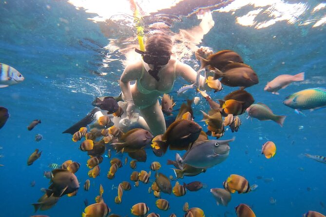 Snorkeling In Nusa Penida Island With Manta Ray From Bali - Your snorkeling route: Gamat Bay, Wall Point, Crystal Bay, and Manta Bay