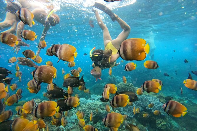 Snorkeling In Nusa Penida Island With Manta Ray From Bali - Gear, GoPro underwater shooting, and what it means for your photos