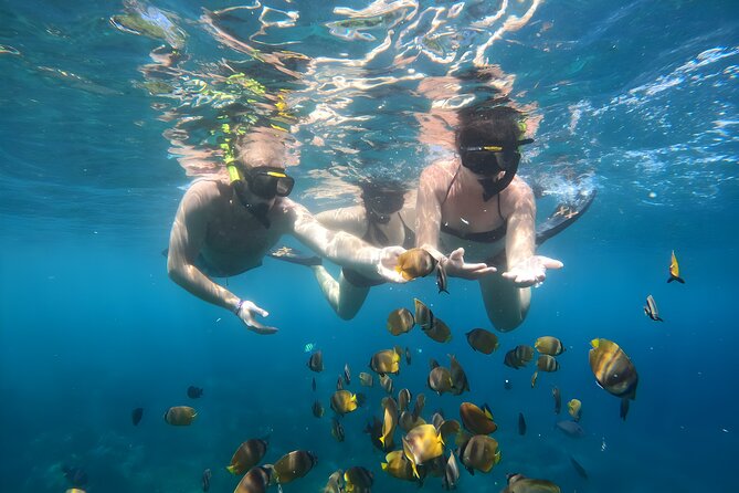 Snorkeling In Nusa Penida Island With Manta Ray From Bali - How to judge the reviews without getting spooked