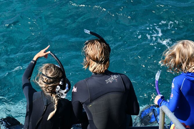 Snorkeling Manta Rays, Land Tour Tembeling Pool & Kelingking - Tembeling Pool in the forest: swim time, motorbike taxi, and a calmer pace