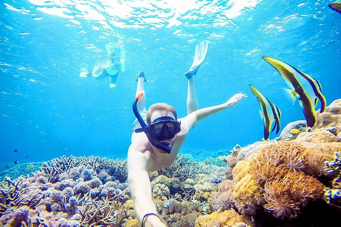 Snorkeling Nusa Penida and Island Tour Package - Why Nusa Penida snorkeling works as a 10-hour day