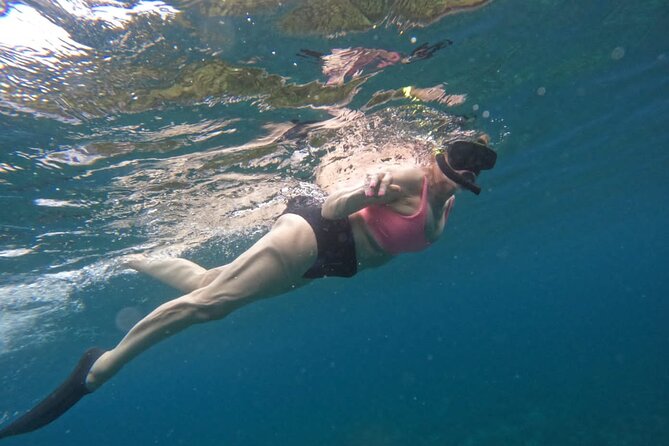 Snorkeling Nusa Penida and Island Tour Package - Snorkeling at Manta Point, Wall Point, and Mangrove Point