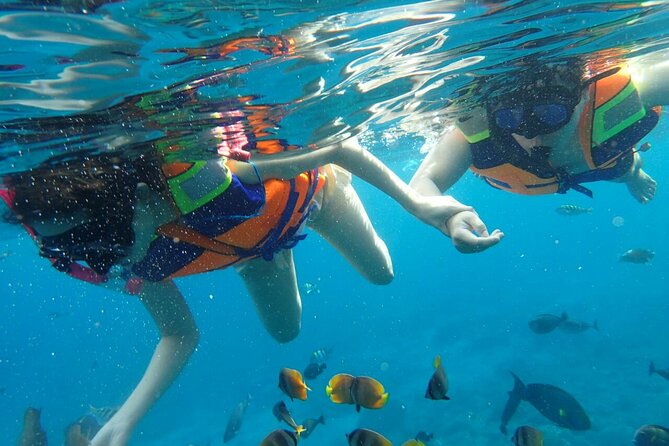 Snorkeling Nusa Penida and Island Tour Package - Price and value: what $90 buys you in a day like this