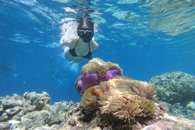 Snorkeling Tour at Blue Lagoon with Private Hotel Transfer - Key points I’d plan around