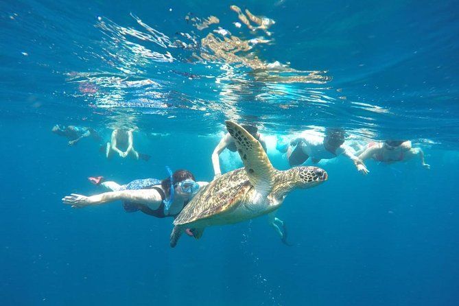 Snorkeling Tour In Gili Trawangan, Gili Meno And Gili Air Pick Up From Bali - Key things to know before you go
