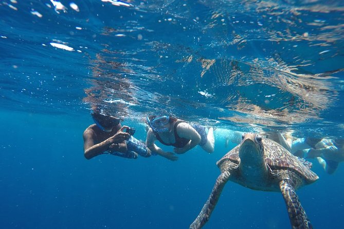 Snorkeling Tour In Gili Trawangan, Gili Meno And Gili Air Pick Up From Bali - Stop 1: Gili Trawangan Turtle Spot (30 minutes)