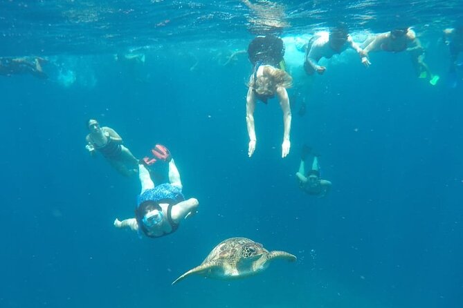 Snorkeling Tour In Gili Trawangan, Gili Meno And Gili Air Pick Up From Bali - Stop 2: Gili Meno Statue’s Spot and Turtle’s Spot (30 minutes)